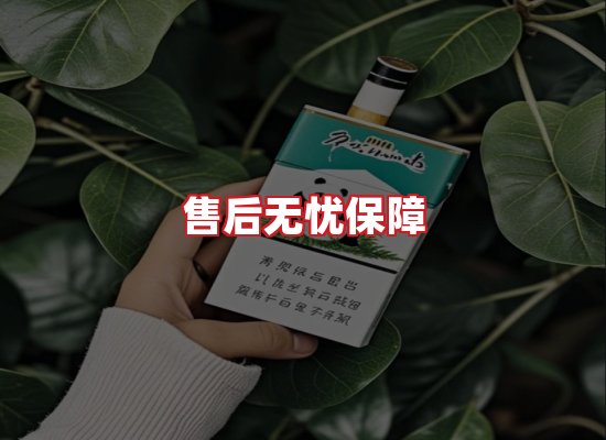 专业团队